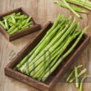 cswnt20260309163128.jpg 图片6.jpg