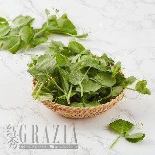 mhxzj20260309163117.jpg 图片5.jpg