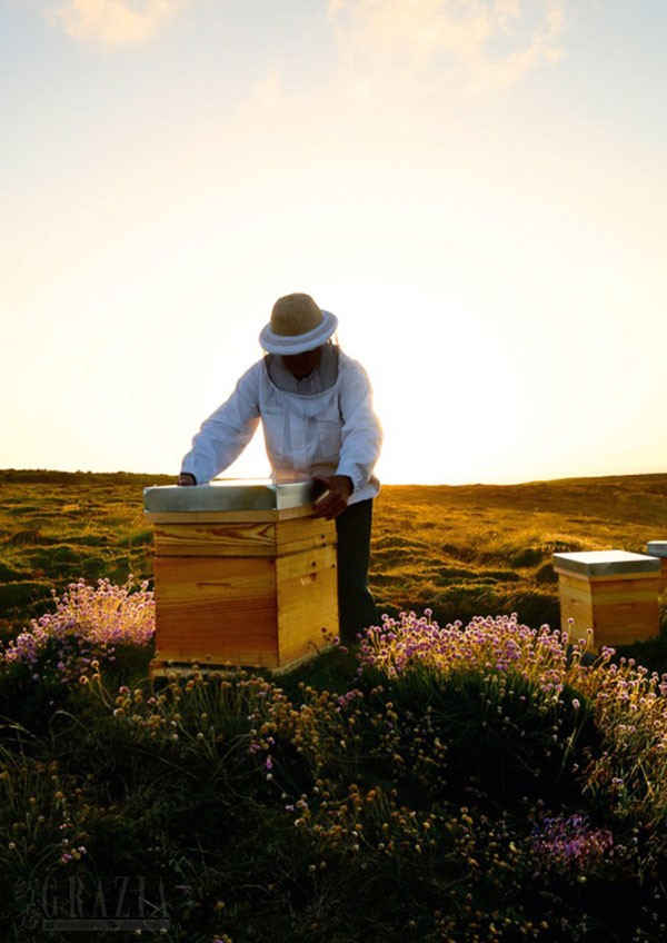 lajnj20260317015445.jpg 13.jpg