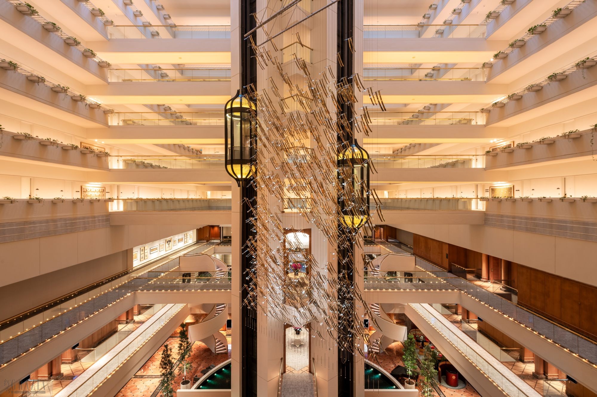 AtriumEvening_Hires (1).jpg