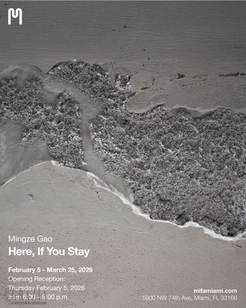 在心跳之间停留：Mingze Gao 情感交互装置实验个展1.jpeg