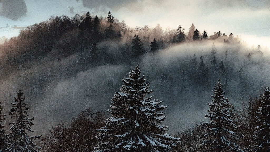 jhkww20260414183006.jpg 图片38.jpg