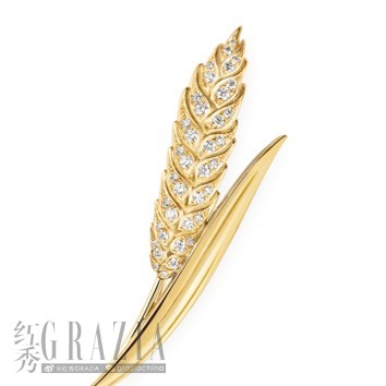 图片14.jpg