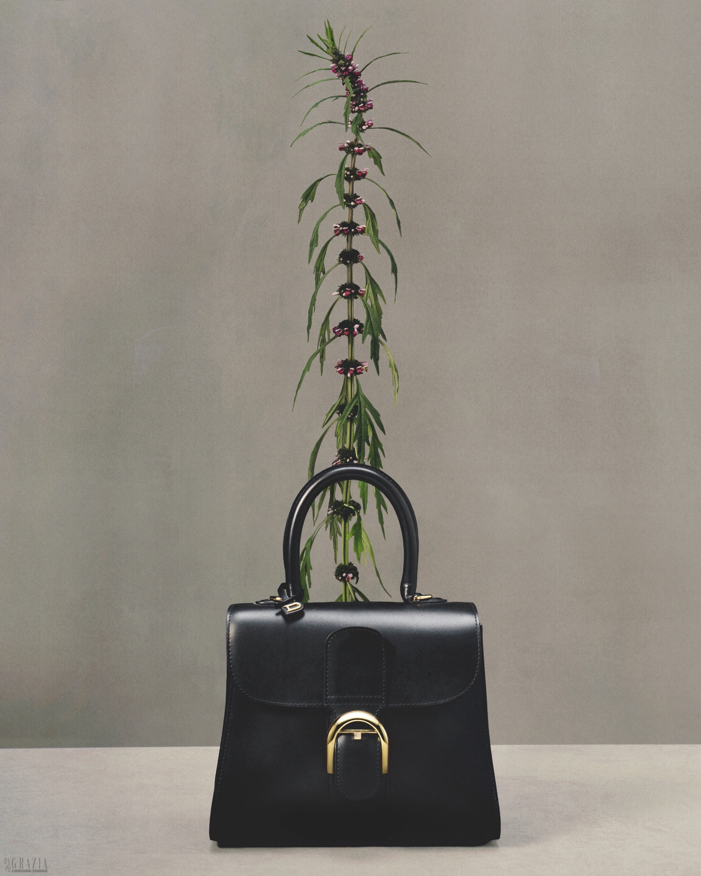 DELVAUX_AW26_WILD-BLOOM_LENNERT-MADOU_4X5_BRILLANT_BLACK_01.jpg