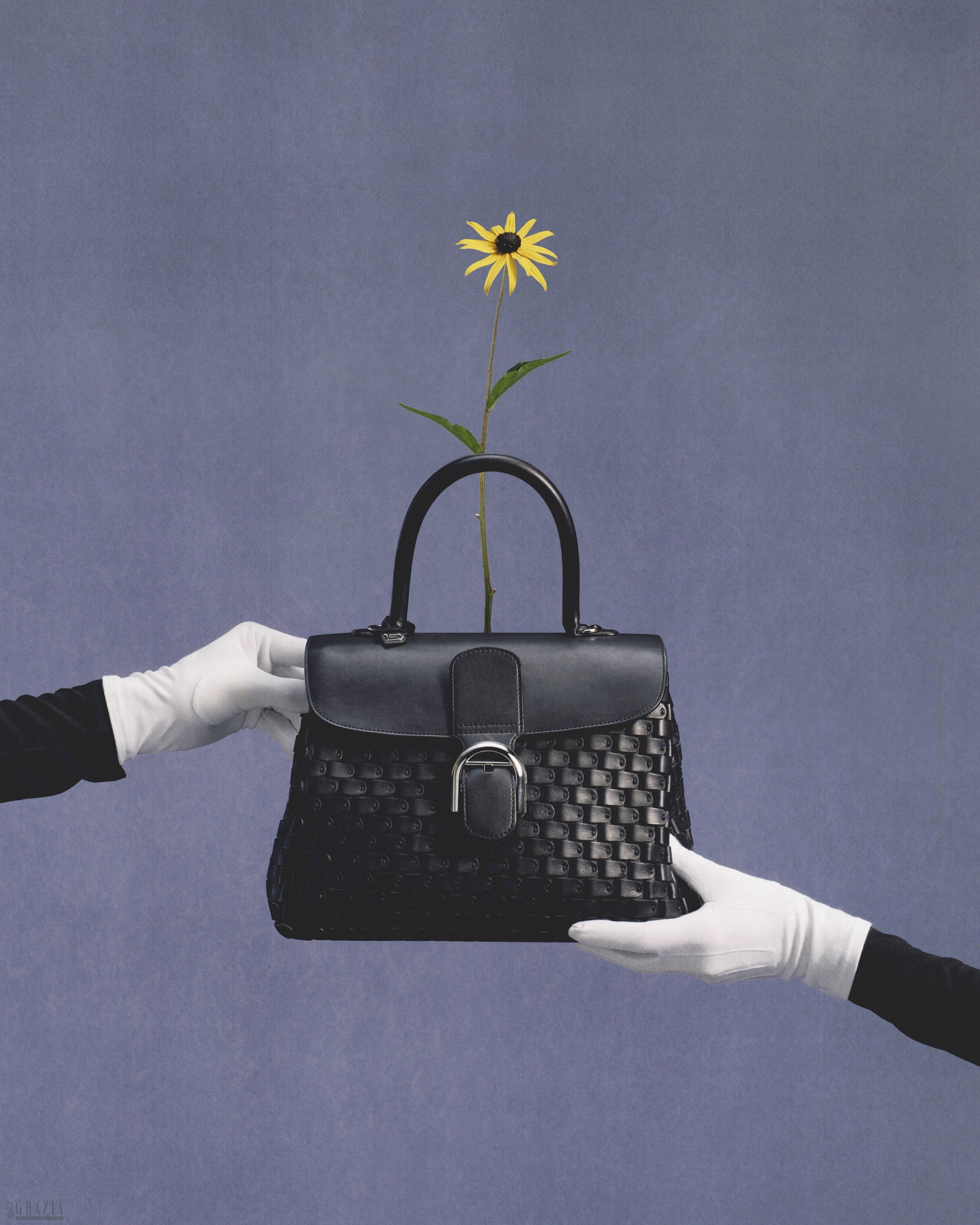 DELVAUX_AW26_WILD-BLOOM_LENNERT-MADOU_4X5_BRILLANT_ARSENAL_02.jpg