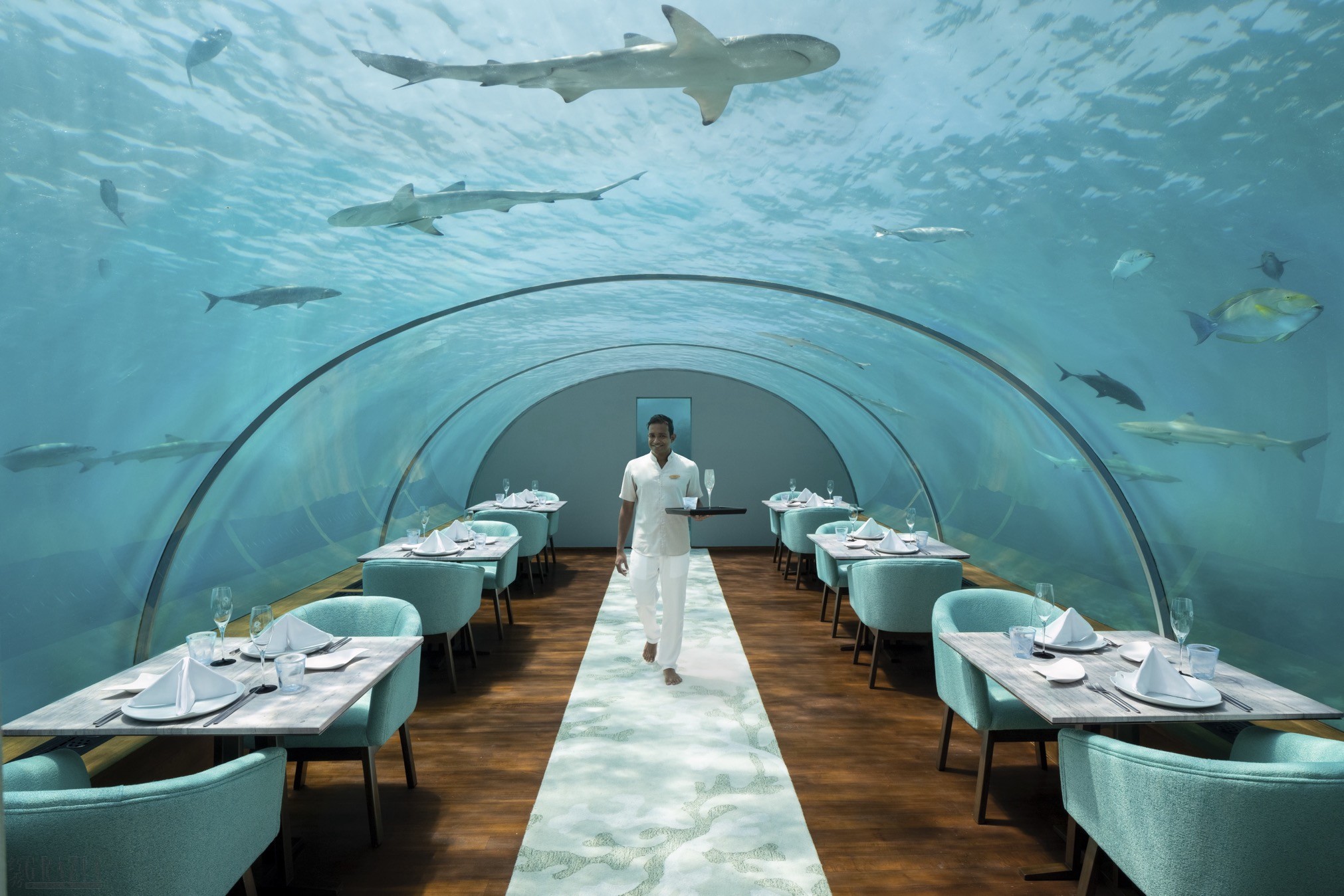 03_Conrad Maldives Rangali Island - Ithaa Restaurant.jpg