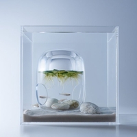 为小鱼儿打造透明感MAX的新居：美到窒息的鱼缸