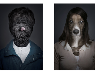 Love My Dog(Year) 上海芮欧百货狗年臻品摄影展神秘来袭