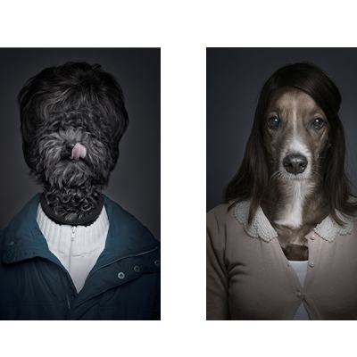 Love My Dog(Year) 上海芮欧百货狗年臻品摄影展神秘来袭