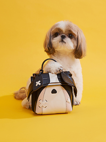 就要这么萌到你！TOD’S 再度携手包先生发布限量萌犬双肩包