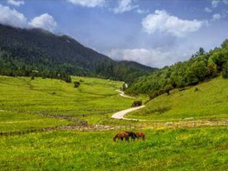 感恩陪伴 自然堂推出首个品牌会员节