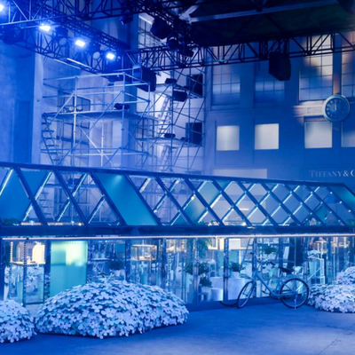 传奇之蓝 绽放摩登魅力 Tiffany & Co. 蒂芙尼Paper Flowers™花韵系列作品全新发布