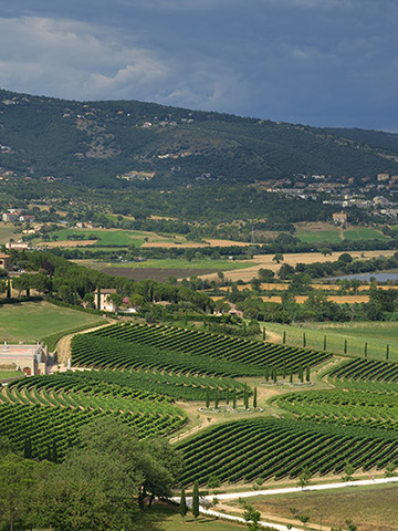Brunello Cucinelli回归“臻美计划”，守护精神碑谷