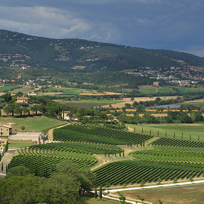 Brunello Cucinelli回归“臻美计划”，守护精神碑谷