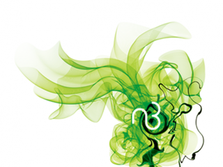 自然美源于对自然的精妙解读