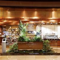 diptyque中国香氛旗舰店周年庆