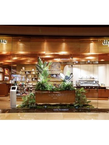 diptyque中国香氛旗舰店周年庆