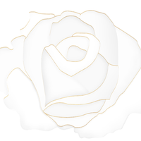 Dior护肤峰会——花秘瑰萃系列与格兰维尔玫瑰