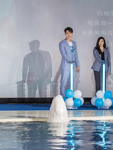 上海长风海洋世界携吴尊温暖守护 小白鲸九千公里的回家之旅正式开启