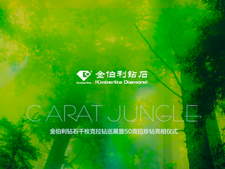 金伯利钻石闪耀上海珠宝展               ——探索千枚克拉钻的奇幻森林