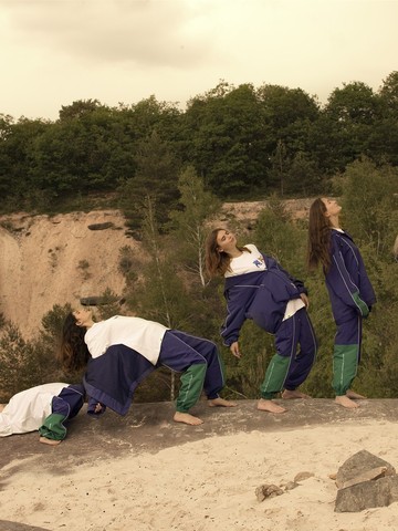 ‘THE BLUE FOX FAMILY’