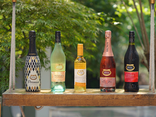 布琅兄弟百年佳酿 微醺魔都午后