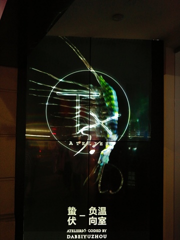 ATELIERSÓ 联合新生代艺术家大悲宇宙，呈现未来概念展