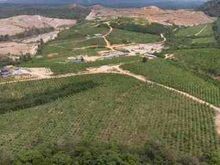 绿谷檀香系列耀目亮相2019•首届绿谷猫山王嘉年华