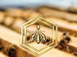 世界蜜蜂日 法国娇兰致力可持续发展