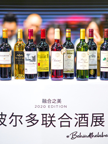 2020融合之美 波尔多子产区首次联合酒展登陆沪上