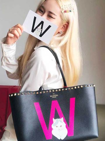 VALENTINO GARAVANI ROCKSTUD PET铆钉萌宠系列