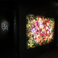 绽放生命之美 | POLA全新第6代B.A沉浸式艺术展首登上海