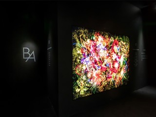 绽放生命之美 | POLA全新第6代B.A沉浸式艺术展首登上海