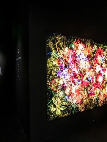 绽放生命之美 | POLA全新第6代B.A沉浸式艺术展首登上海