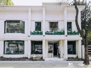 植力赋能 美不妥协 AVEDA天猫宝藏新品牌植力赋能盛典