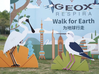 GEOX开启“Walk for Earth——为地球行走”系列“履”程 GEOX “Walk for Earth” Journey  “上海崇明东滩首站 守护候鸟迁徙 促进人与自然和谐共生”