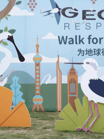 GEOX开启“Walk for Earth——为地球行走”系列“履”程 GEOX “Walk for Earth” Journey  “上海崇明东滩首站 守护候鸟迁徙 促进人与自然和谐共生”