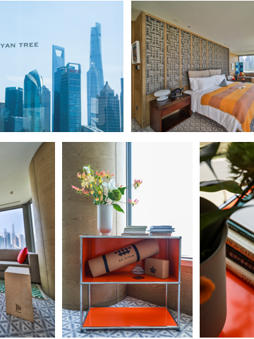 透过绿色滤镜守一场都市日落 AD VITAM艾薇丹 x 上海外滩悦榕庄联袂发布“落日绿洲” 限时主题房