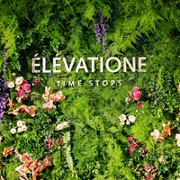 颠覆时间规律，ÉLÉVATIONE媛瓦逊邀你赴一场冻龄之约 ÉLÉVATIONE媛瓦逊&丽思卡尔顿“爱∞无限”主题婚礼活动璀璨呈现