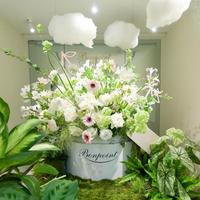 爱在自然 美自心生 Bonpoint开启挚爱花境限时体验店