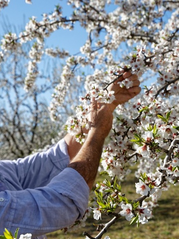 欧舒丹发布“自然向好”生物多样性战略