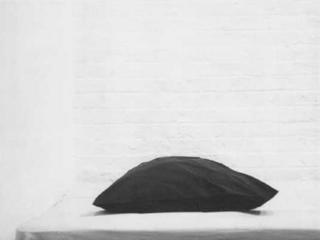 SAINT LAURENT RIVE DROITE SAINT LAURENT 圣罗兰右岸系列 罗伯特·梅普尔索普（ROBERT MAPPLETHORPE）
