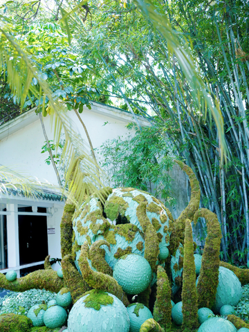 SKAP 与地球相“愈”