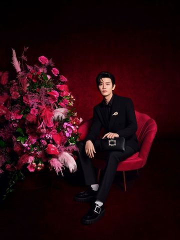 法式星光 渐入嘉境 Roger Vivier 品牌代言人任嘉伦