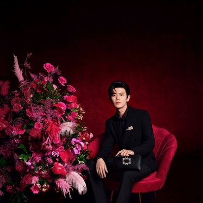 法式星光 渐入嘉境 Roger Vivier 品牌代言人任嘉伦