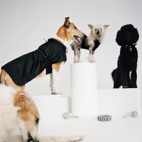 ARKET 推出宠物犬用品系列