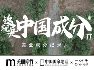 《这就是中国成分》正式上线，揭秘一叶子原料之乡陇南油橄