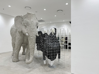 DOVER STREET MARKET BEIJING 2023 春夏盛装开季