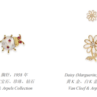 Van Cleef & Arpels 梵克雅宝 以花开盎然之姿，开启“春之礼赞”序幕