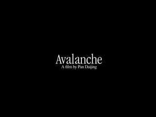 卢浮宫之貌 - Pan Daijing, Avalanche